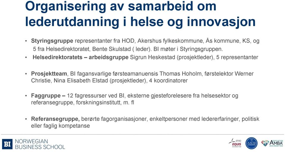 Helsedirektoratets arbeidsgruppe Sigrun Heskestad (prosjektleder), 5 representanter Prosjektteam, BI fagansvarlige førsteamanuensis Thomas Hoholm, førstelektor Werner