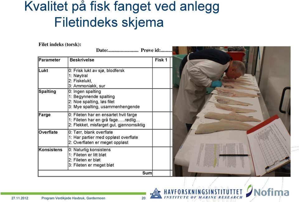 Ingen spalting 1: Begynnende spalting 2: Noe spalting, løs filet 3: Mye spalting, usammenhengende 0: Fileten har en ensartet hvit farge 1: Fileten har en grå fage.