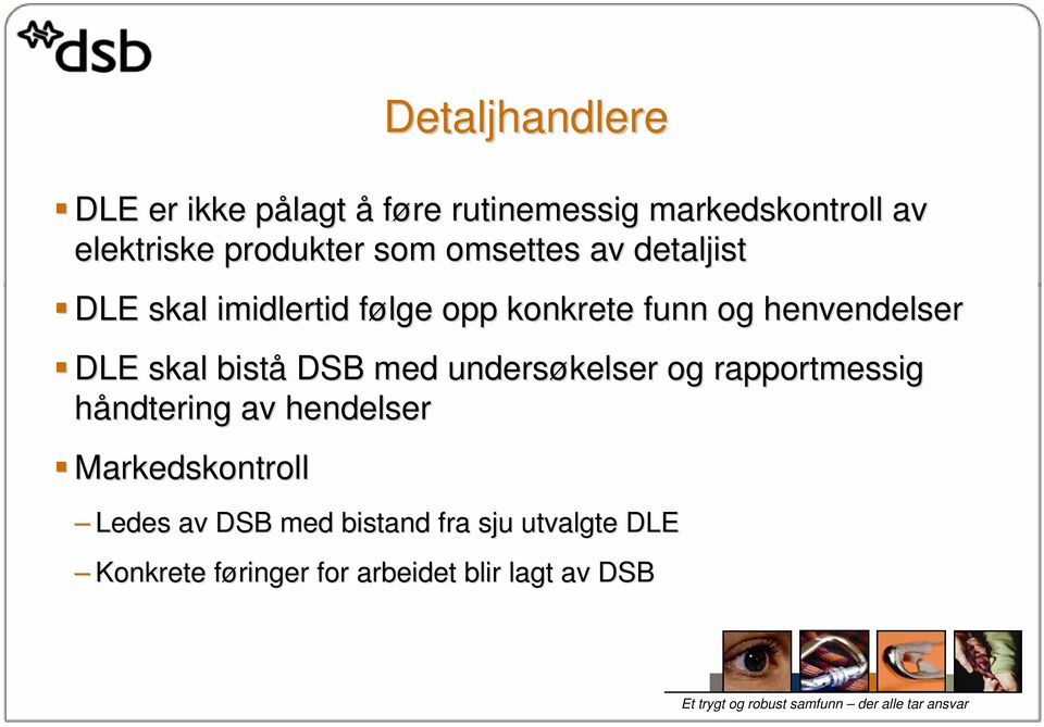 henvendelser DLE skal bistå DSB med undersøkelser og rapportmessig håndtering av hendelser