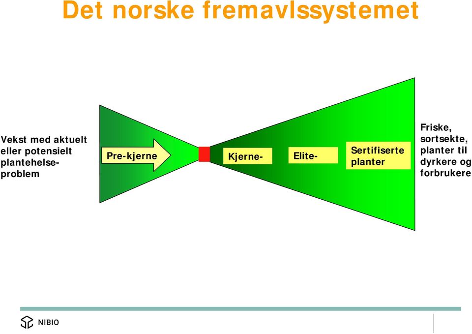 Pre-kjerne Kjerne- Elite- Sertifiserte