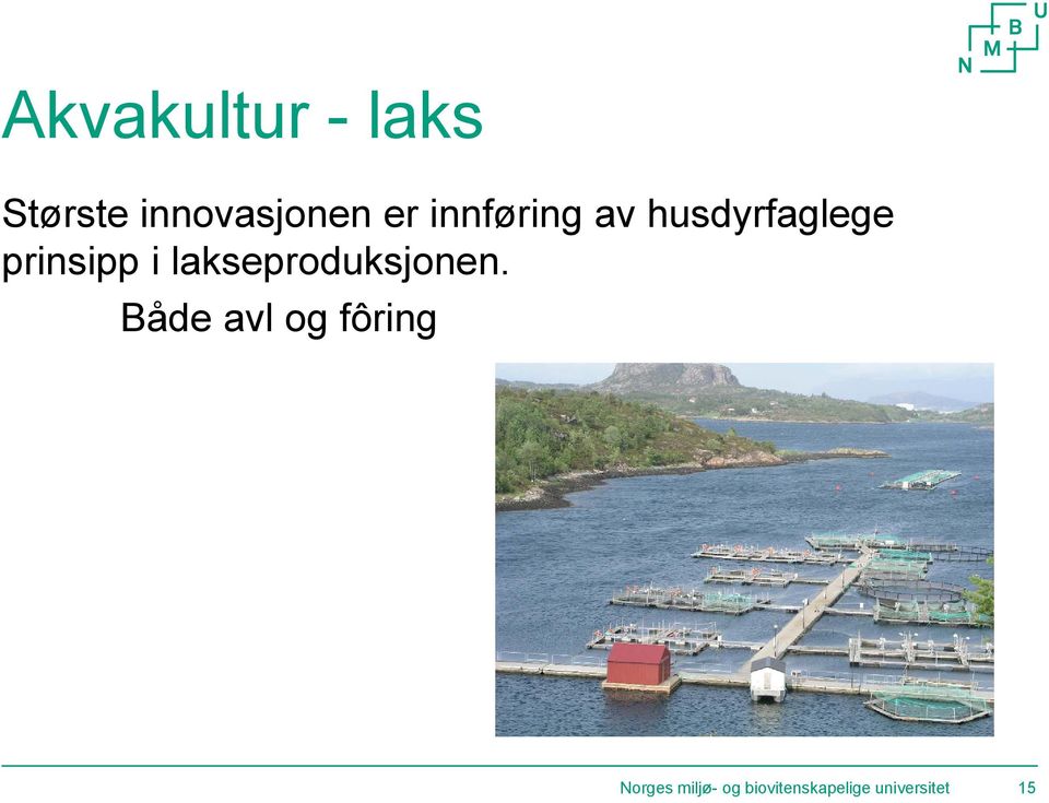 lakseproduksjonen.