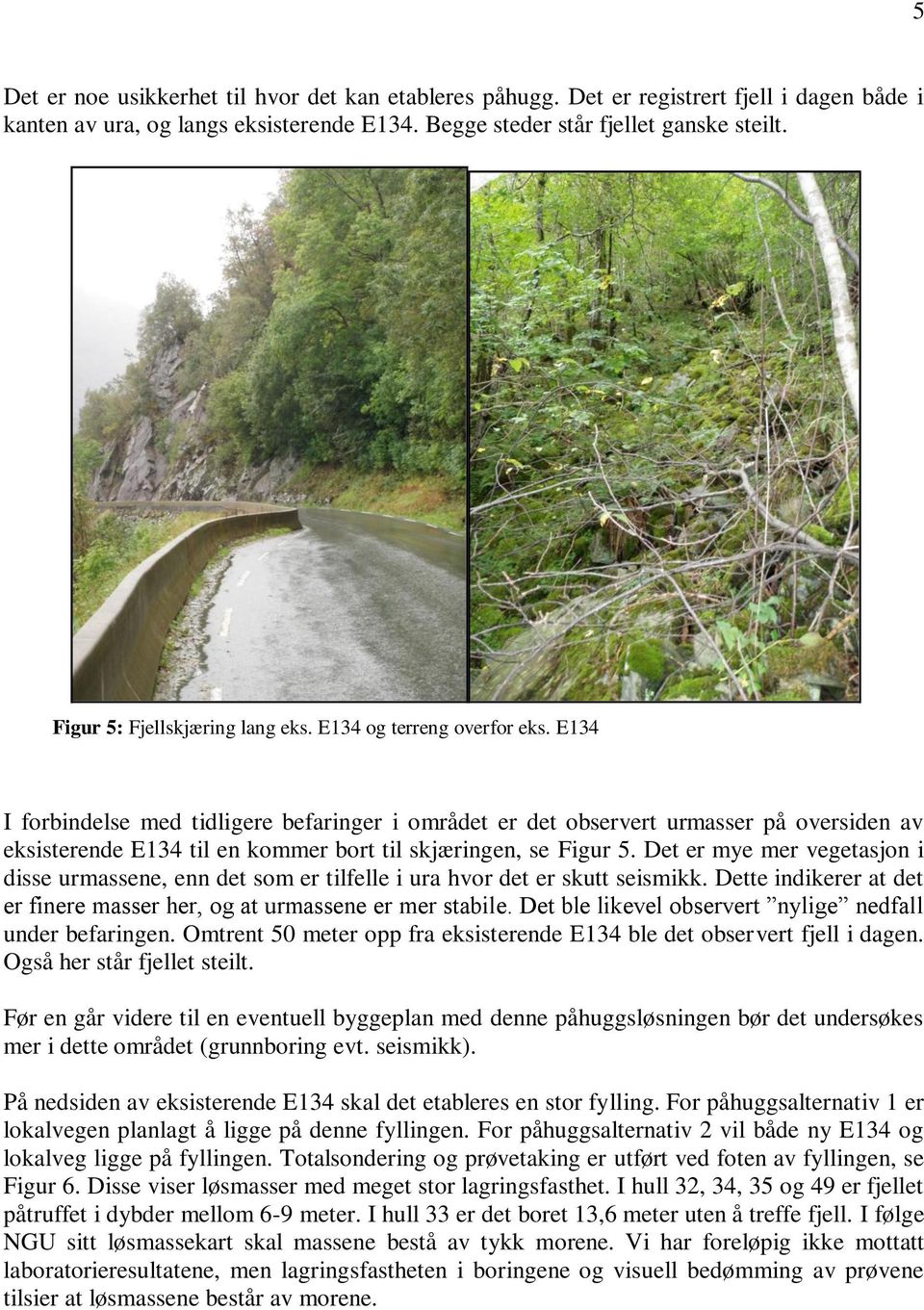 E134 I forbindelse med tidligere befaringer i området er det observert urmasser på oversiden av eksisterende E134 til en kommer bort til skjæringen, se Figur 5.