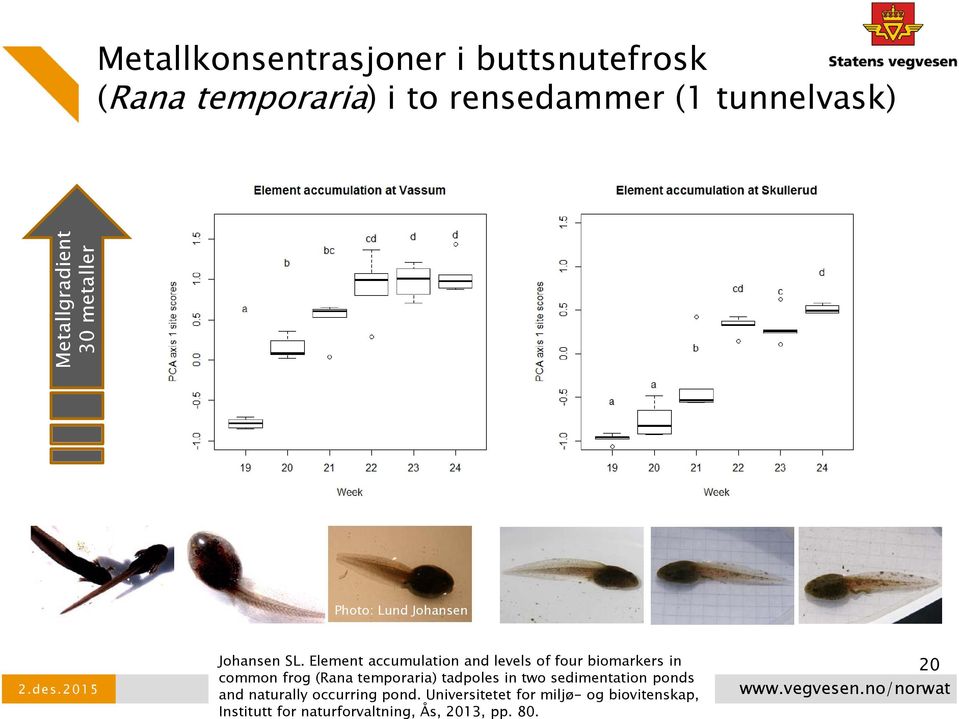 Element accumulation and levels of four biomarkers in common frog (Rana temporaria) tadpoles in