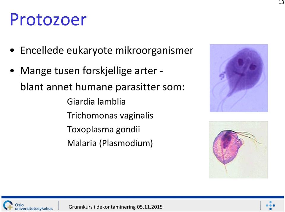 blant annet humane parasitter som: Giardia