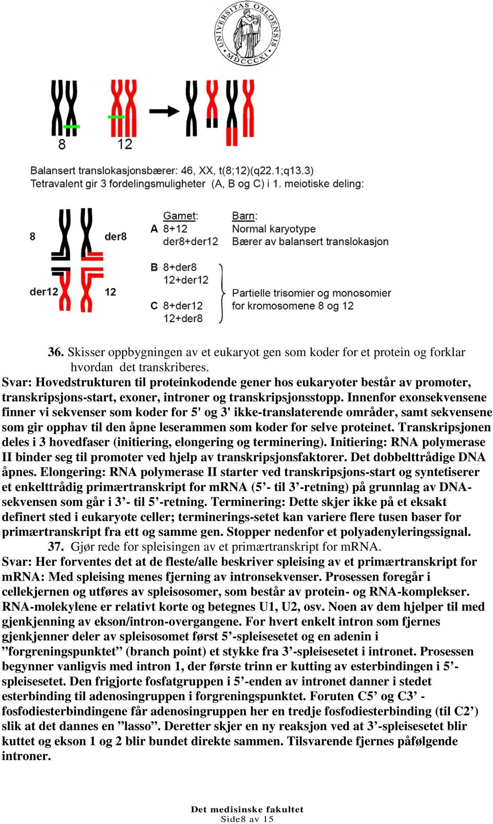 Innenfor exonsekvensene finner vi sekvenser som koder for 5' og 3' ikke-translaterende områder, samt sekvensene som gir opphav til den åpne leserammen som koder for selve proteinet.