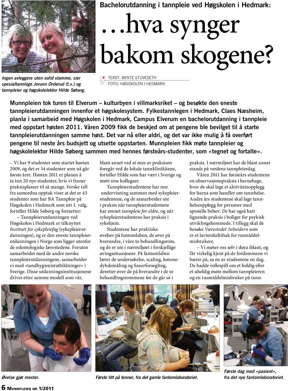 Fylkestannlegen i Hedmark, Claes Næsheim, planla i samarbeid med Høgskolen i Hedmark, Campus Elverum en bachelorutdanning i tannpleie med oppstart høsten 2011.