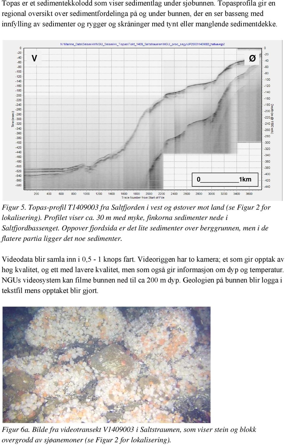 V Ø 0 1km Figur 5. Topas-profil T1409003 fra Saltfjorden i vest og østover mot land (se Figur 2 for lokalisering). Profilet viser ca. 30 m med myke, finkorna sedimenter nede i Saltfjordbassenget.