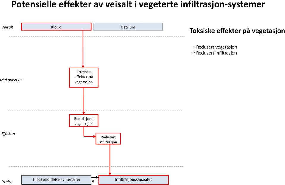 infiltrasjon Mekanismer Toksiske effekter på vegetasjon Reduksjon i vegetasjon