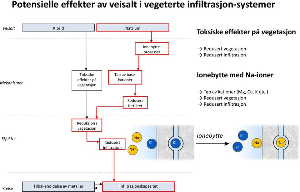 Redusert fertilitet Ionebytte med Na-ioner Tap av kationer (Mg, Ca, K etc.