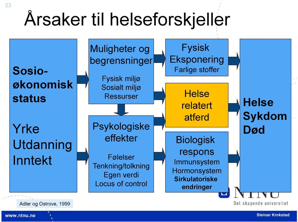 Tenkning/tolkning Egen verdi Locus of control Fysisk Eksponering Farlige stoffer Helse relatert