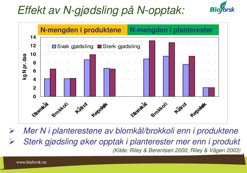 gjødsling Sterk gjødsling Brokkoli N-mengden i planterester Brokkoli Mer N i planterestene av