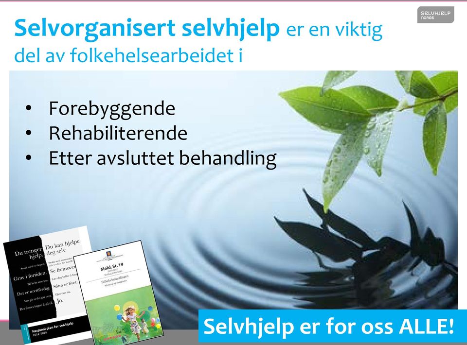 Forebyggende Rehabiliterende Etter