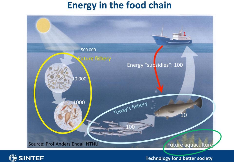 000 1000 Today's fishery 100 10 Source: Prof