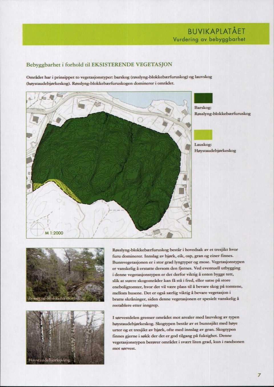 Bunnvegetasjonen er i stor grad lyngtyper og mose. Vegetasjonstypen er vanskelig å erstatte dersom den fjernes.