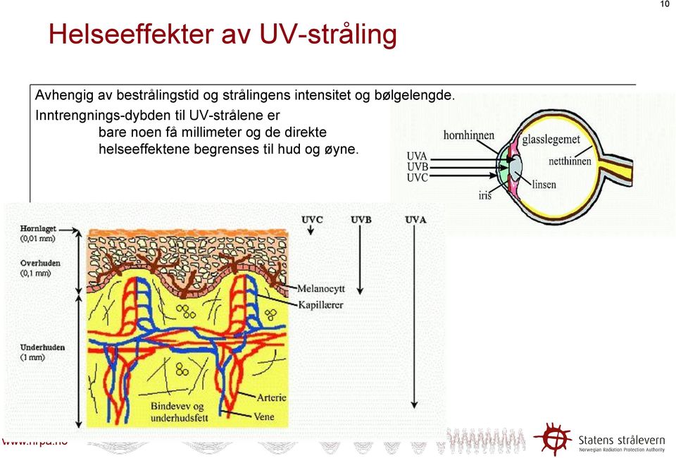 bølgelengde.