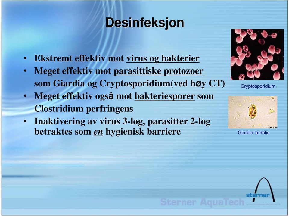 effektiv også mot bakteriesporer som Clostridium perfringens Inaktivering av