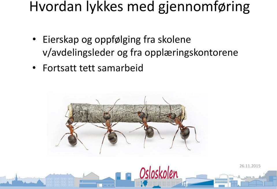 skolene v/avdelingsleder og fra