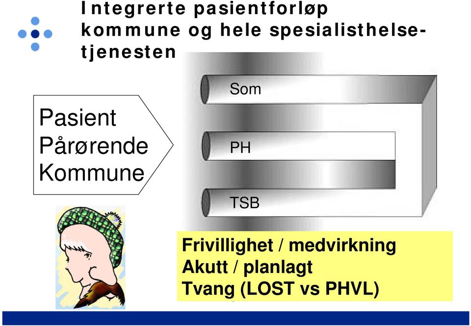 Pårørende Kommune PH TSB Frivillighet /