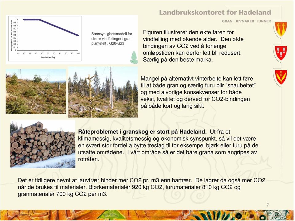 sikt. Råteproblemet i granskog er stort på Hadeland.