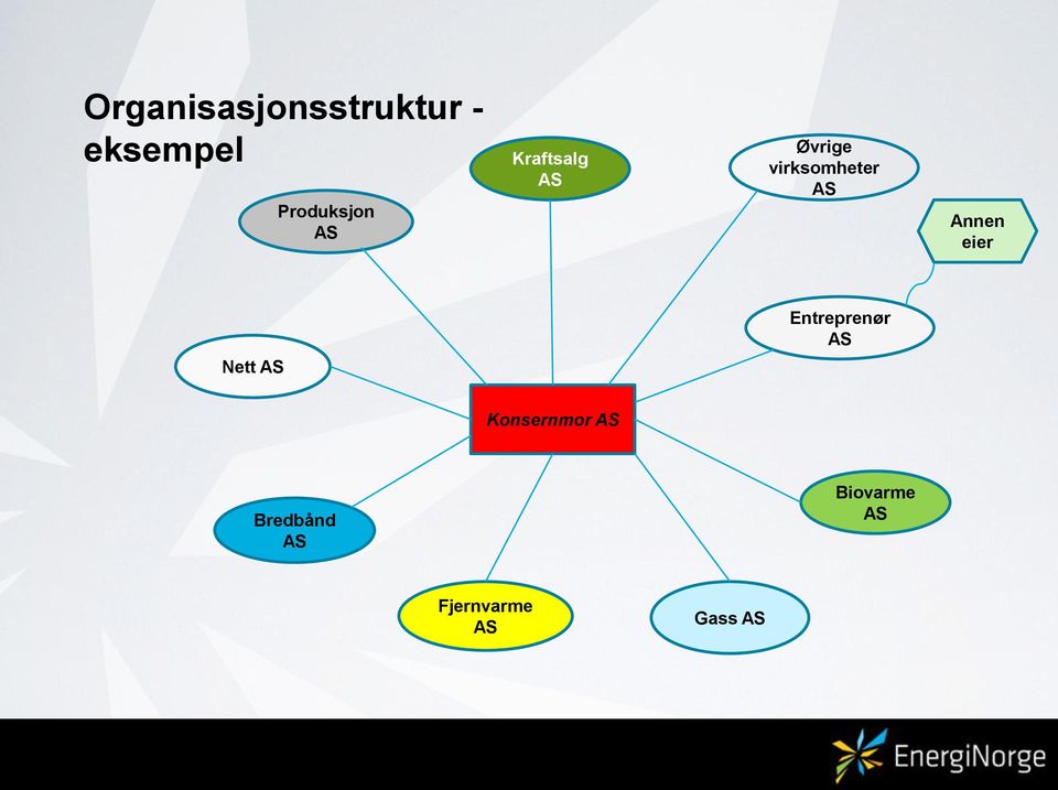 Annen eier Entreprenør AS Nett AS