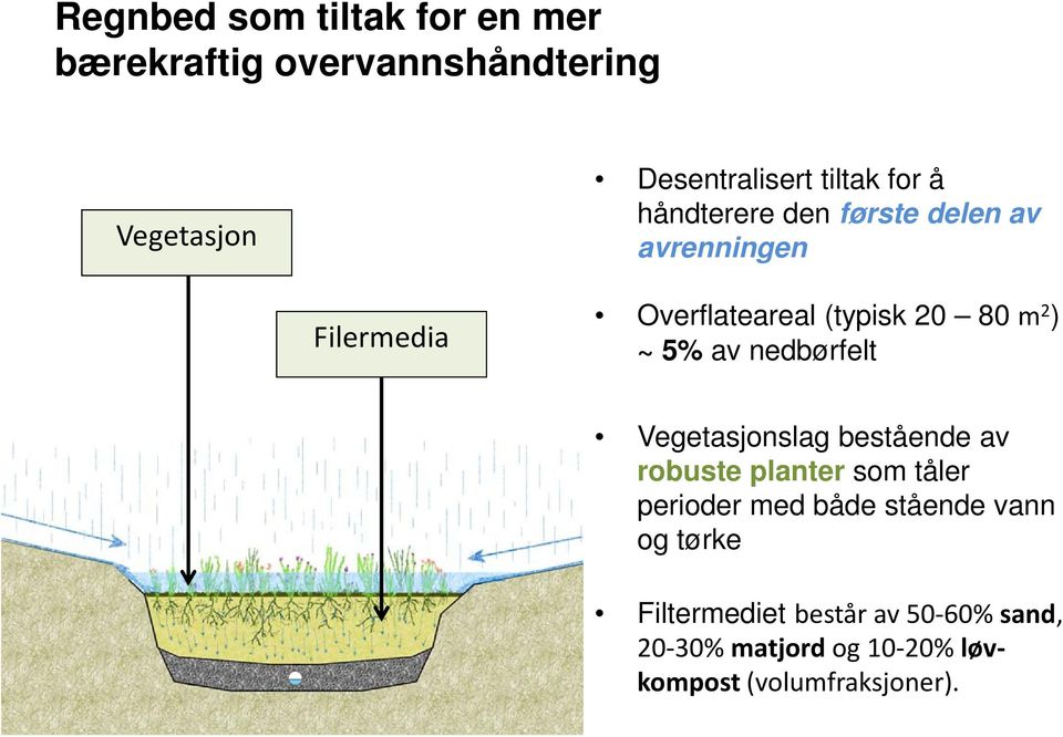 nedbørfelt Vegetasjonslag bestående av robuste planter som tåler perioder med både stående vann og
