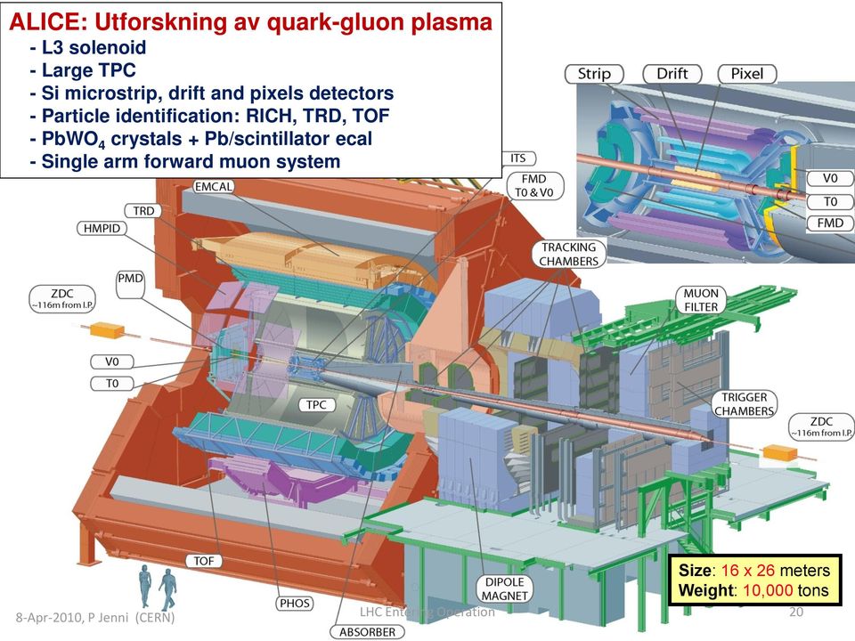 TOF - PbWO 4 crystals + Pb/scintillator ecal - Single arm forward muon system