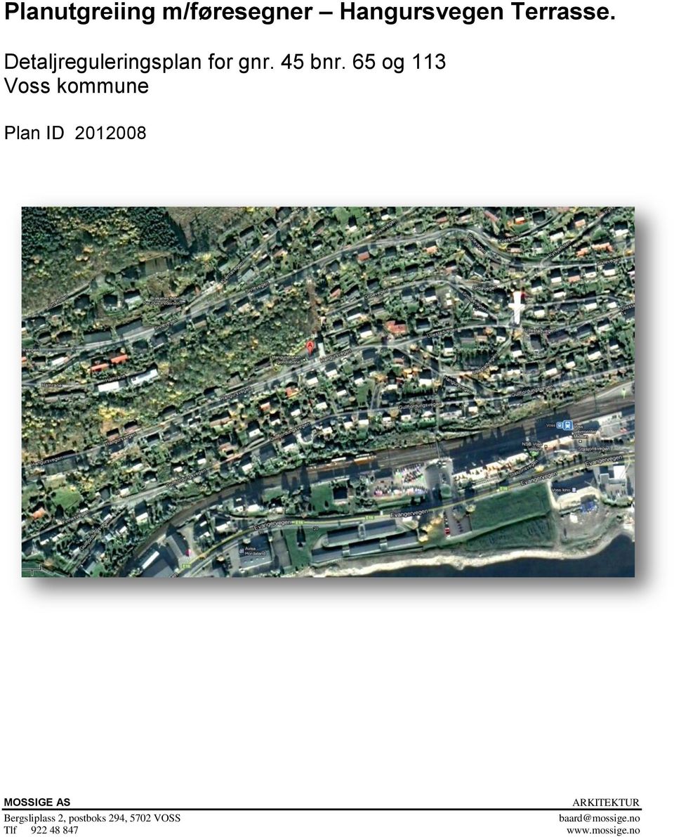 65 og 113 Voss kommune Plan ID 2012008 MOSSIGE AS