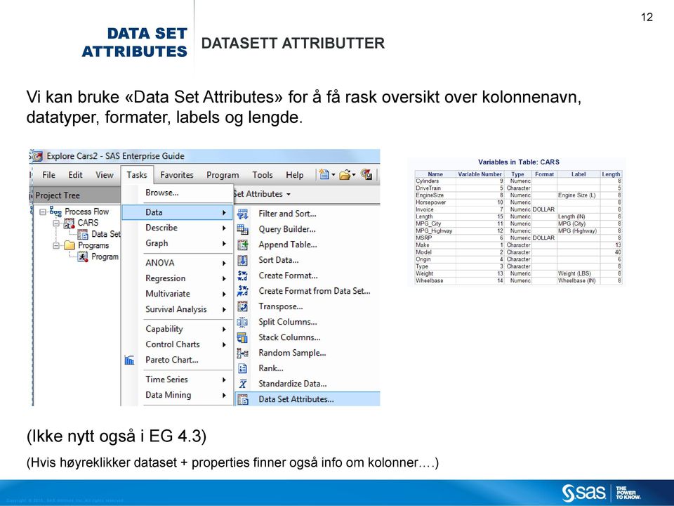 datatyper, formater, labels og lengde. (Ikke nytt også i EG 4.