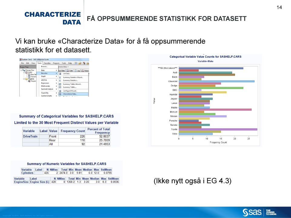 «Characterize Data» for å få oppsummerende