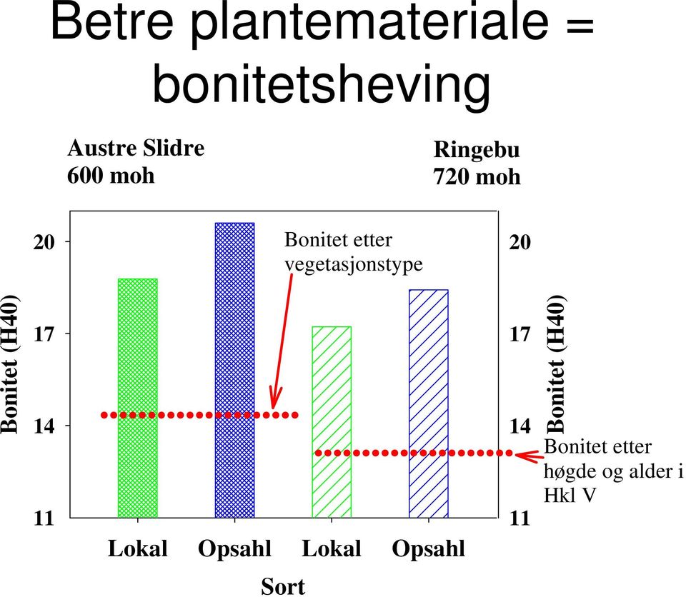 Bonitet (H40) 17 14 11 Lokal Opsahl Lokal Opsahl 17 14