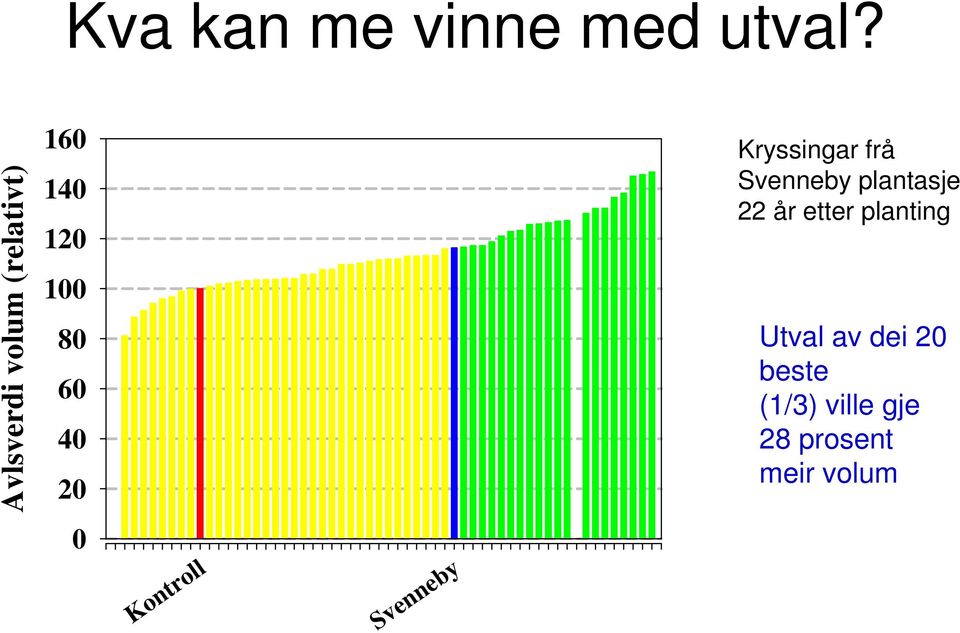 0 Kontroll Svenneby Kryssingar frå Svenneby plantasje