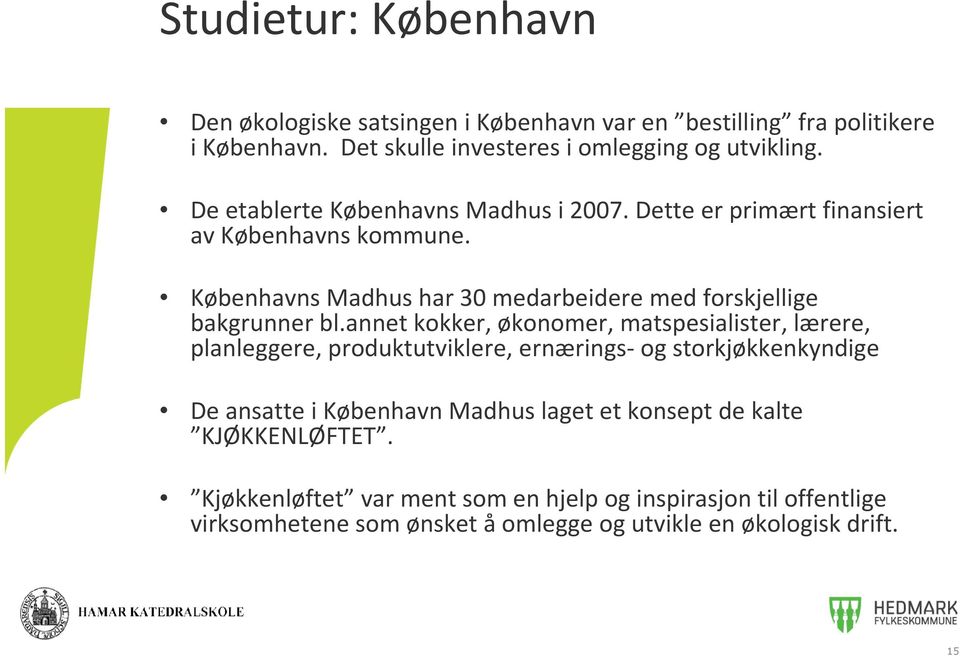 Københavns Madhus har 30 medarbeidere med forskjellige bakgrunner bl.