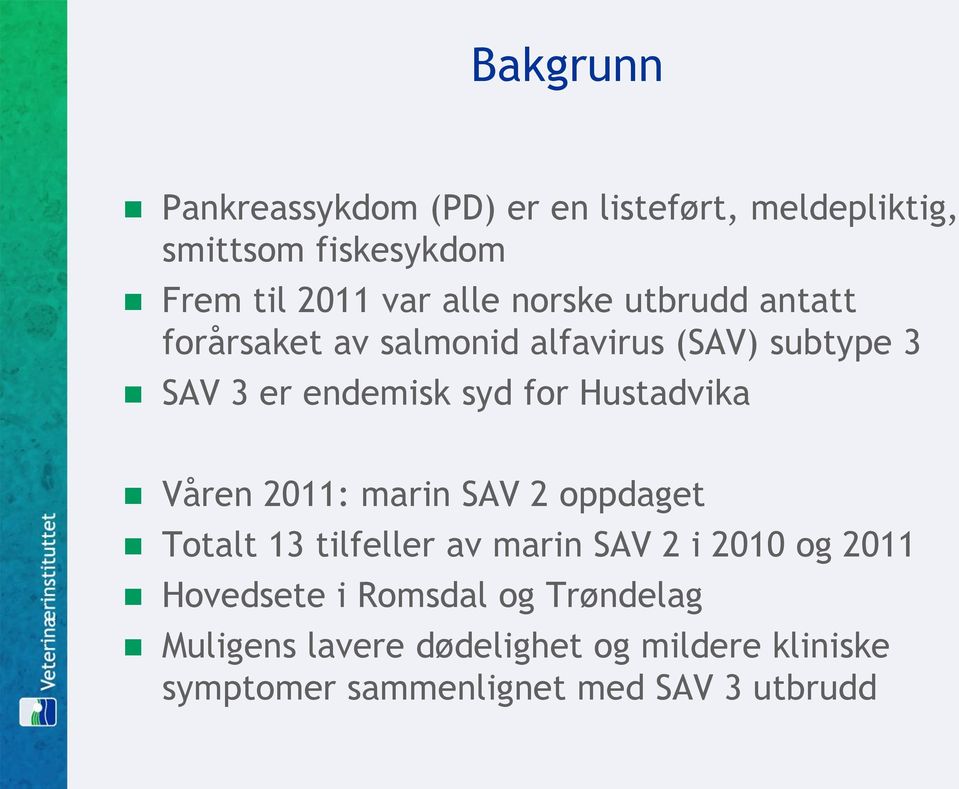 Hustadvika Våren 2011: marin SAV 2 oppdaget Totalt 13 tilfeller av marin SAV 2 i 2010 og 2011 Hovedsete