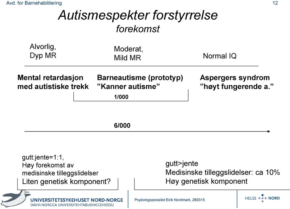 syndrom høyt fungerende a.