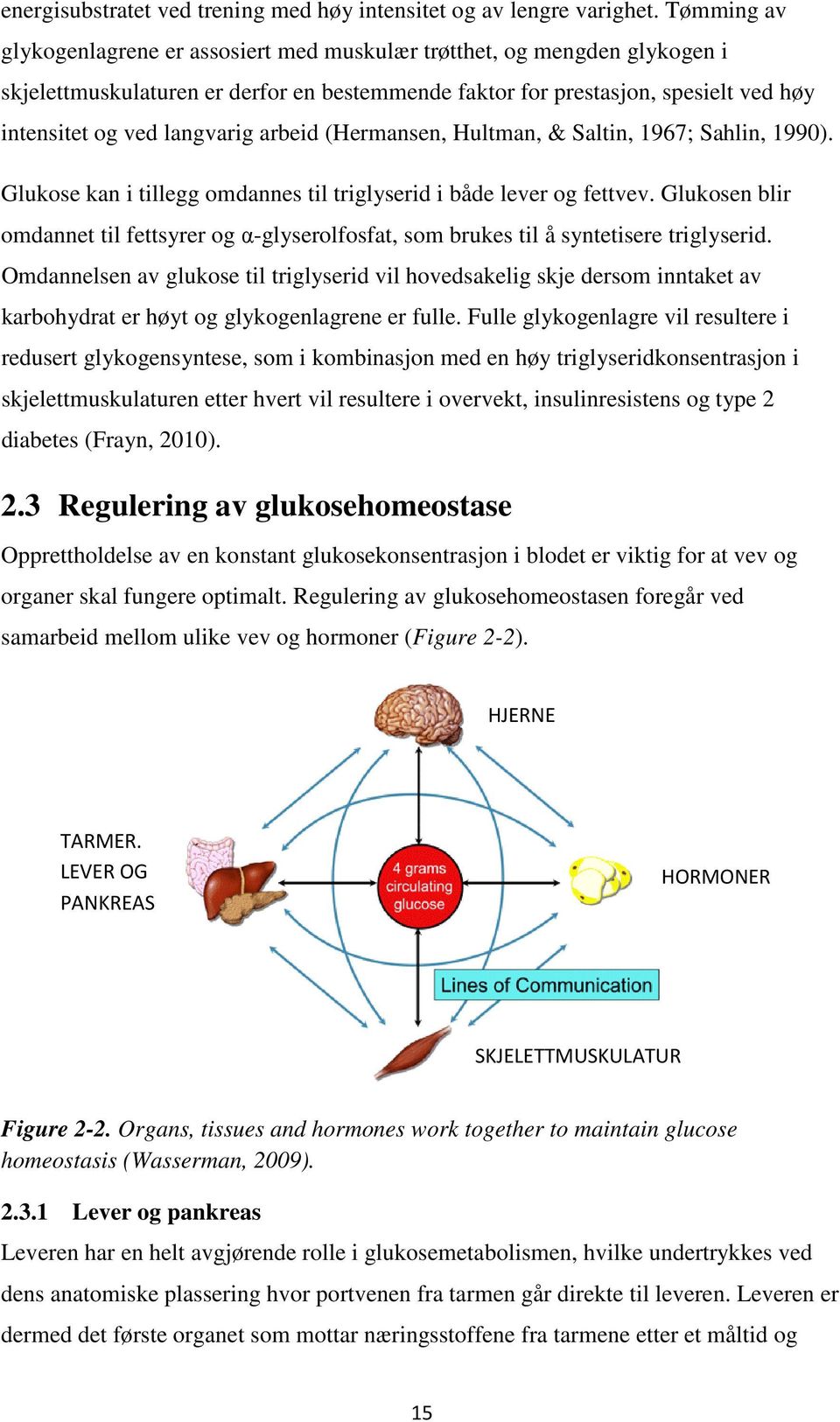 arbeid (Hermansen, Hultman, & Saltin, 1967; Sahlin, 1990). Glukose kan i tillegg omdannes til triglyserid i både lever og fettvev.