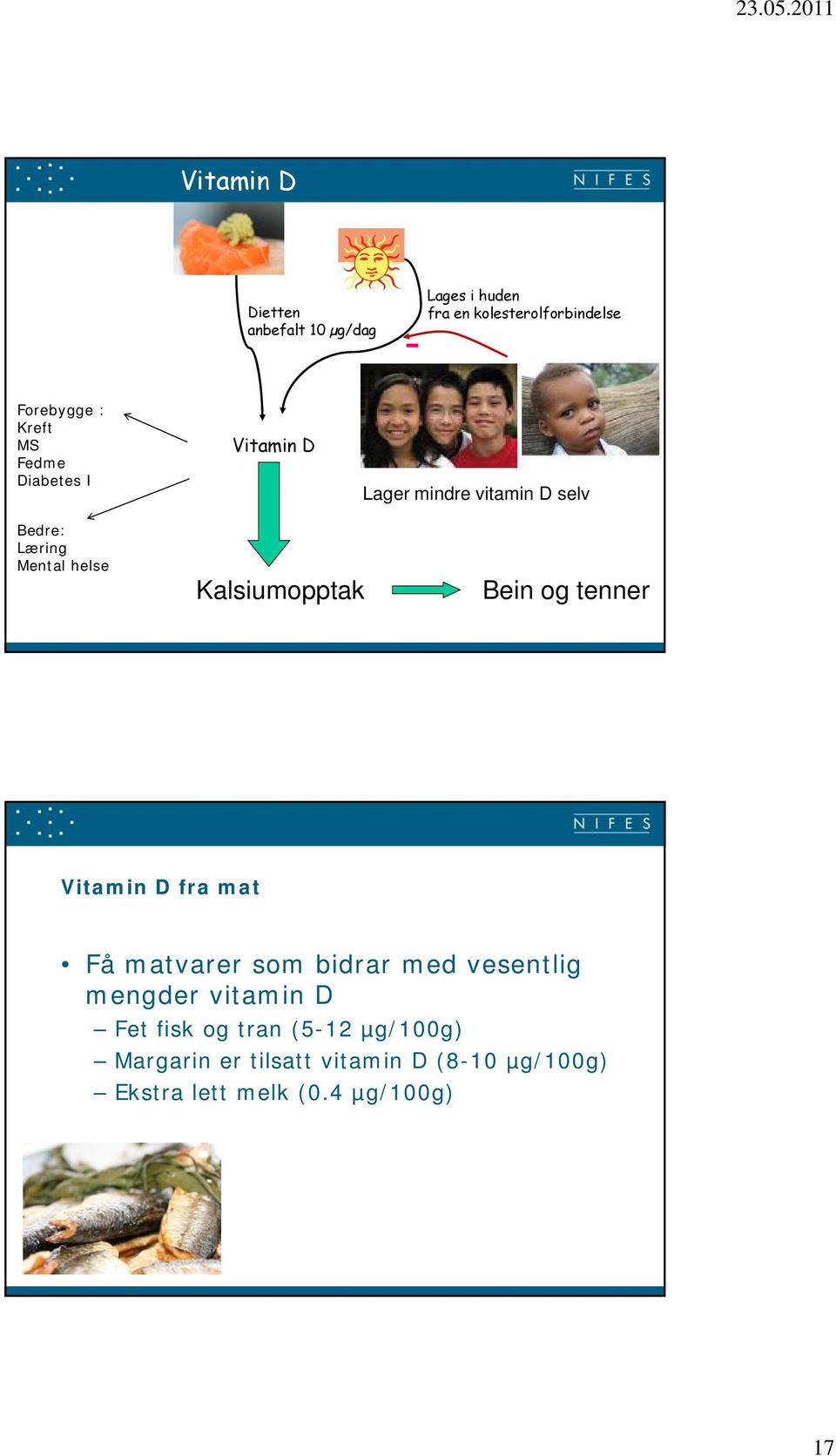 Kalsiumopptak Bein og tenner Vitamin D fra mat Få matvarer som bidrar med vesentlig mengder vitamin