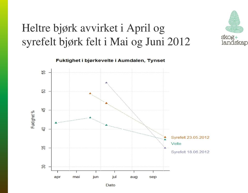 og syrefelt bjørk