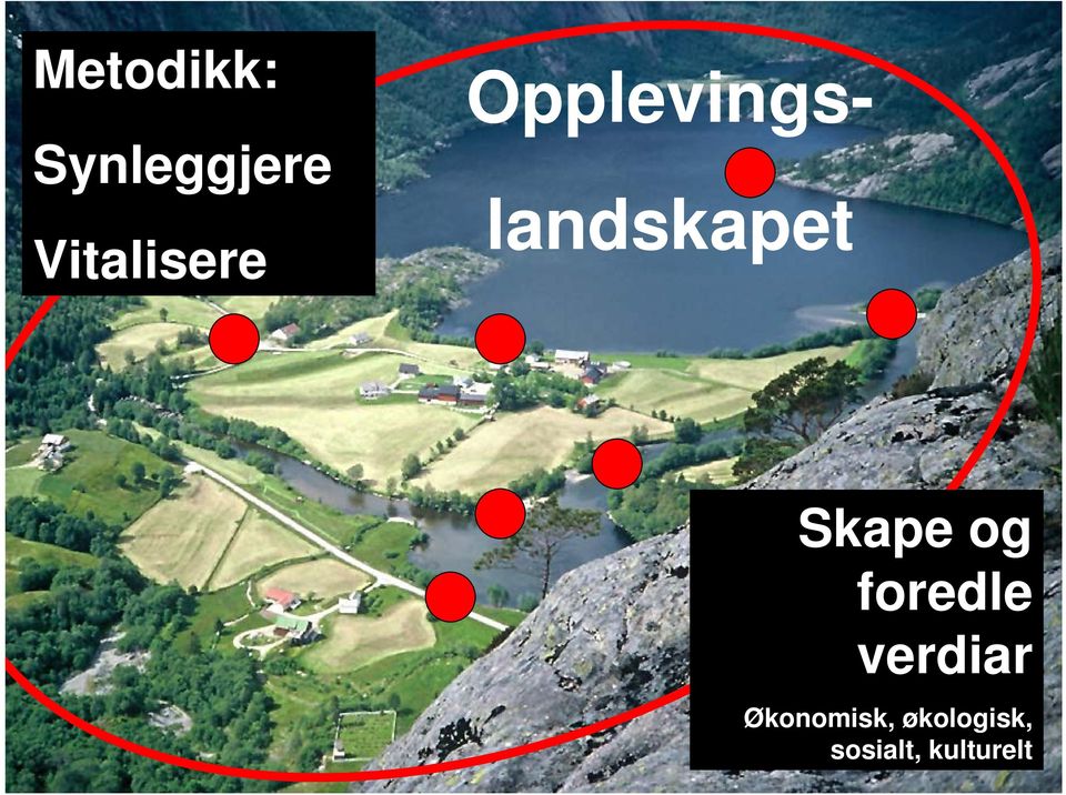 foredle verdiar Økonomisk,