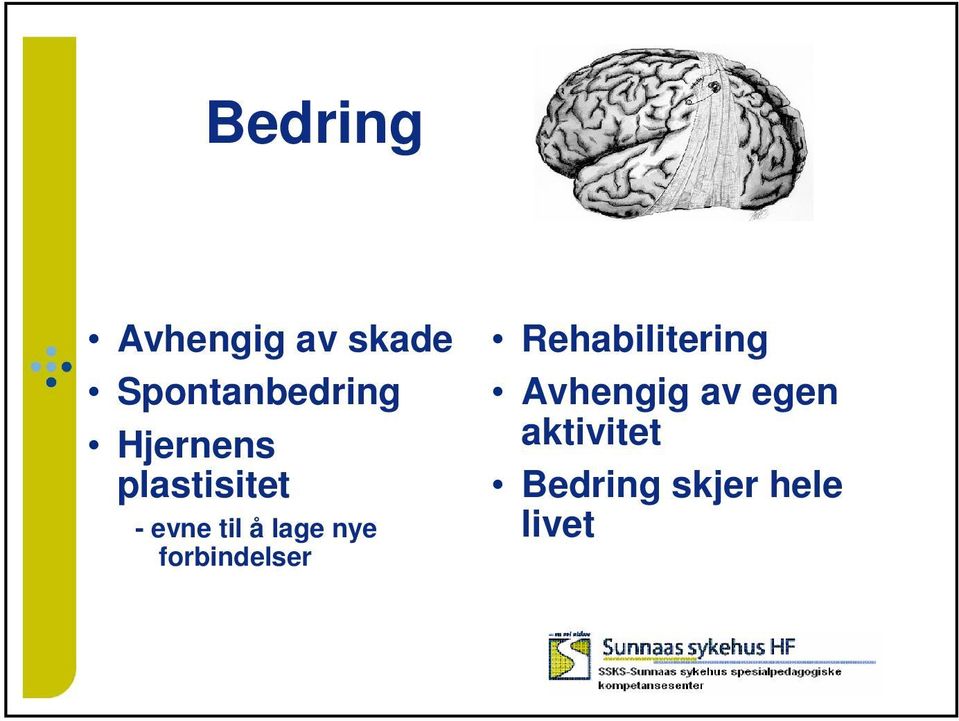 nye forbindelser Rehabilitering Avhengig