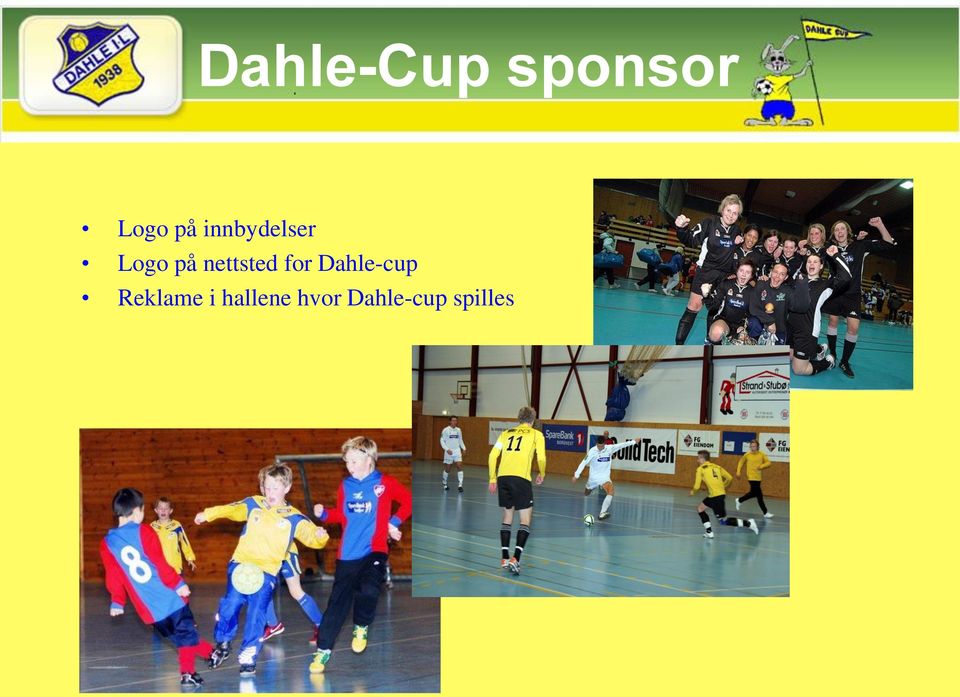 nettsted for Dahle-cup