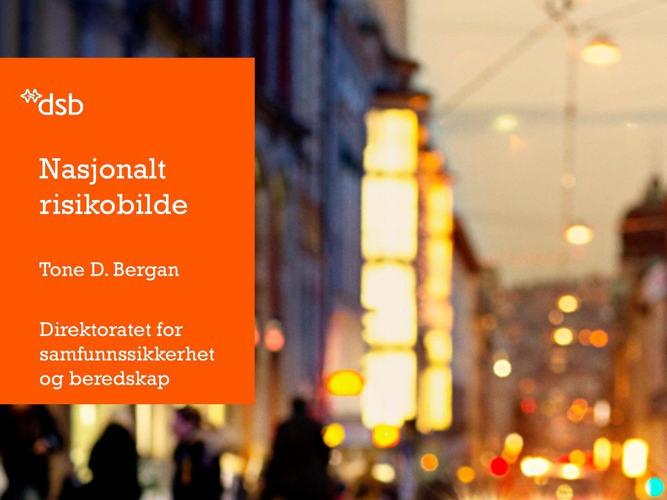 Bergan Direktoratet