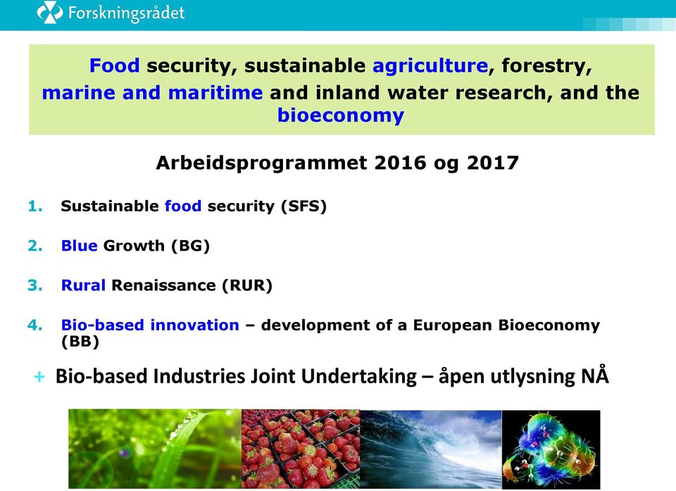 Sustainable food security (SFS) 2. Blue Growth (BG) 3. Rural Renaissance (RUR) 4.