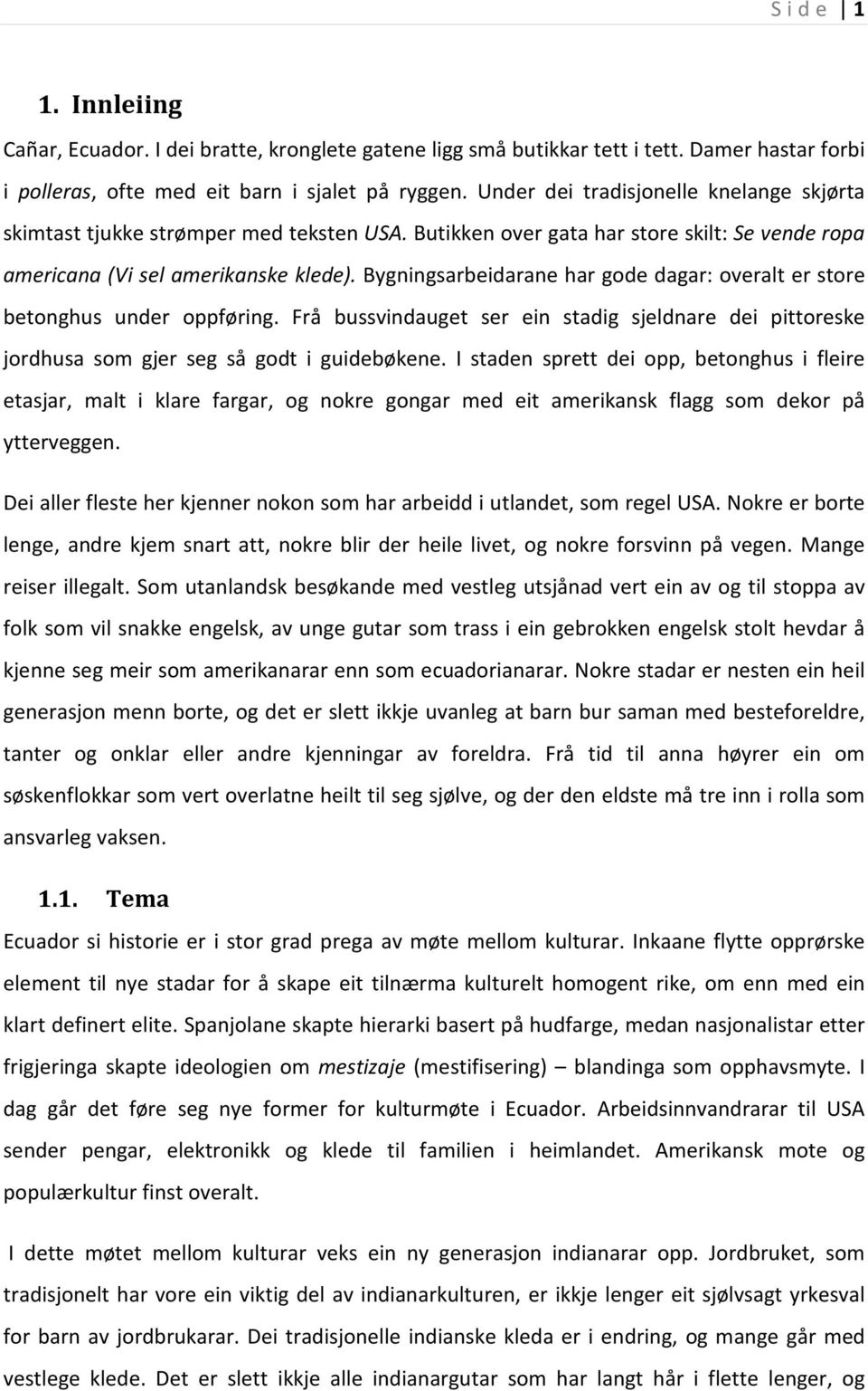 Stadig fleire indianarar bur i same type hus som mestisane, det vert lenger mellom dei som bur i jordhus og lagar mat over open eld.