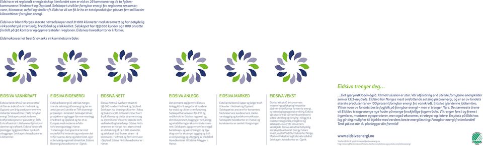 Eidsiva er blant Norges største nettselskaper med 21 000 kilometer med strømnett og har betydelig virksomhet på strømsalg, bredbånd og elsikkerhet.