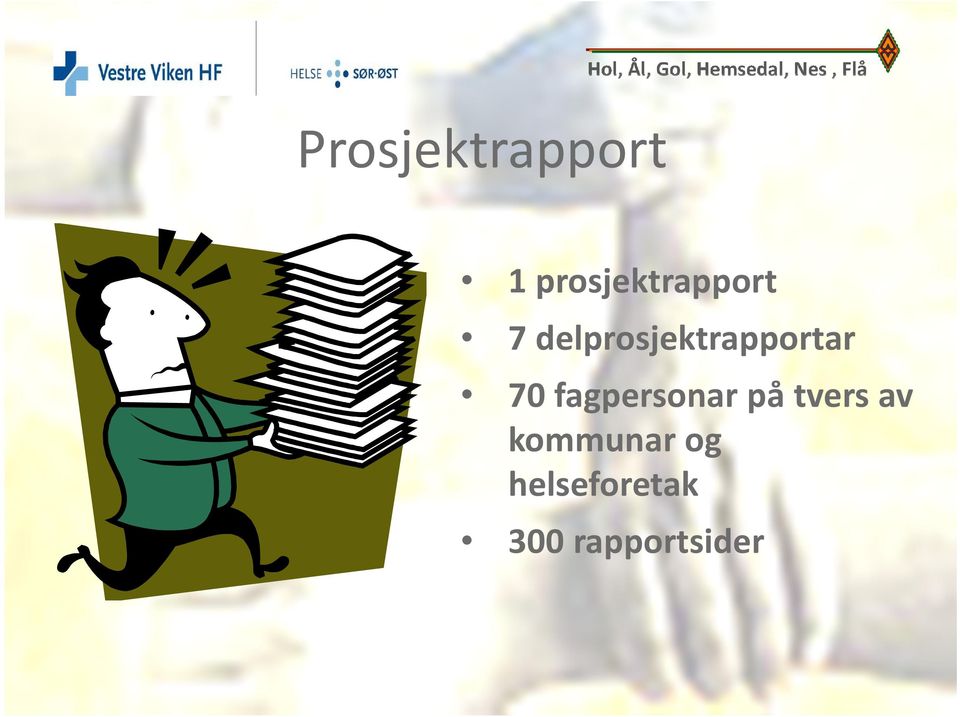 delprosjektrapportar 70 fagpersonar på