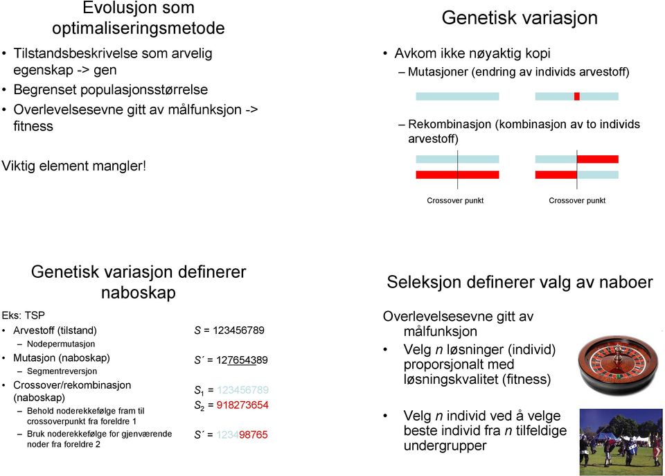 Crossover punkt Crossover punkt Genetisk variasjon definerer naboskap Seleksjon definerer valg av naboer Eks: TSP Arvestoff (tilstand) Nodepermutasjon Mutasjon (naboskap) Segmentreversjon