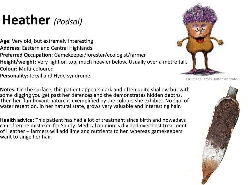 Colour: Multi-coloured Personality: Jekyll and Hyde syndrome Notes: On the surface, this patient appears dark and often quite shallow but with some digging you get past her defences and she