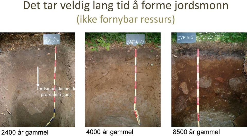 Jordsmonndannende prosesser i gang