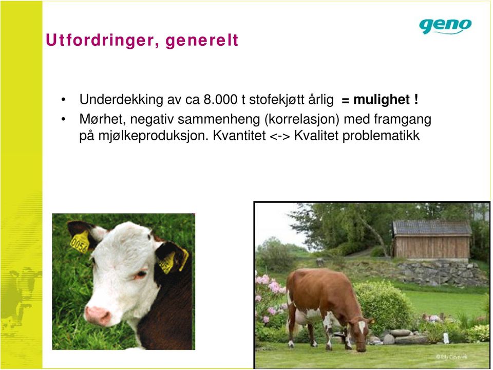 Mørhet, negativ sammenheng (korrelasjon) med