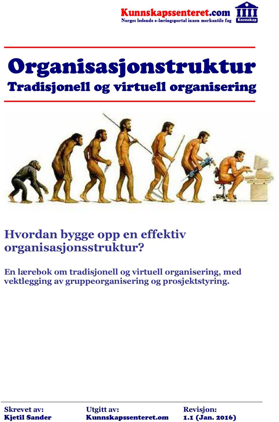 En lærebok om tradisjonell og virtuell organisering, med vektlegging av